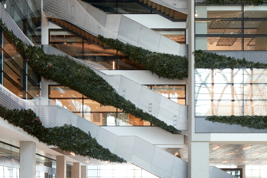 plants trailing along a wall