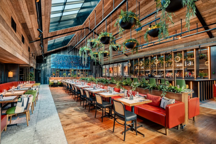 hanging plants from ceiling