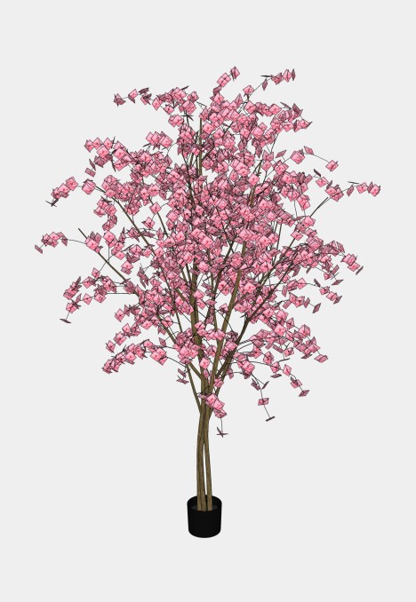 Pink Cherry Blossom Tree