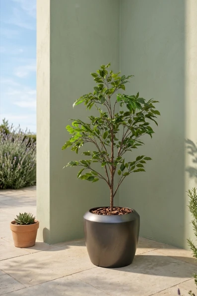 Outdoor Artificial Ficus Tree in Slate Earle Dumpy Pot - 140cm