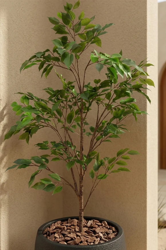 Outdoor Artificial Ficus Tree in Black Easington Pot - 140cm