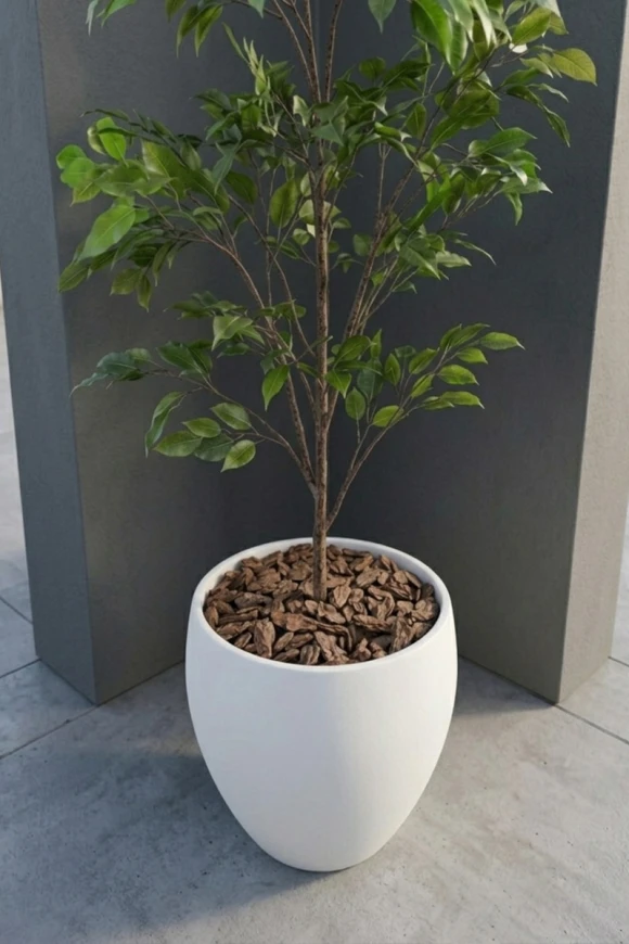 Outdoor Artificial Ficus Tree in White Easington Pot - 140cm