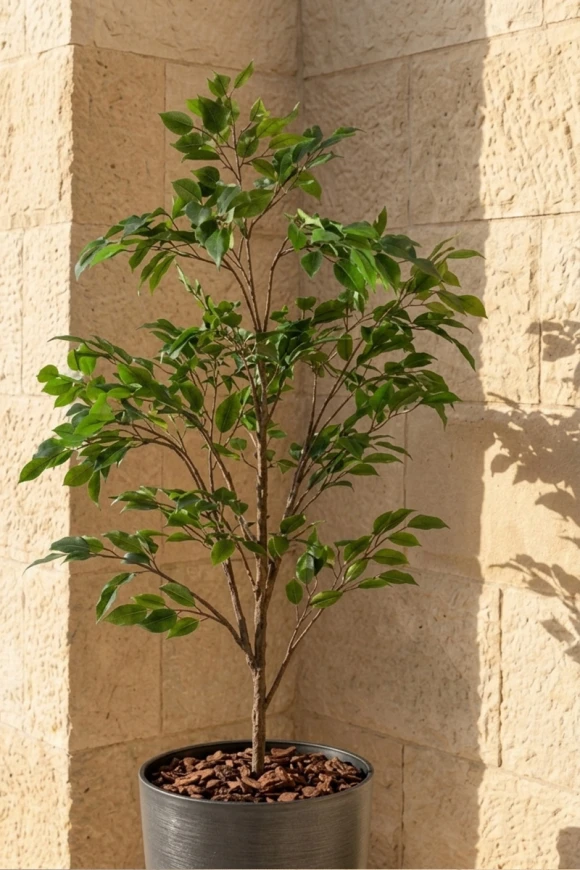 Outdoor Artificial Ficus Tree in Charcoal Buxley Pot - 140cm