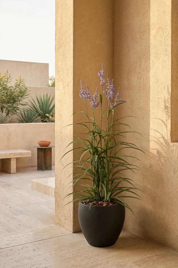 Outdoor Artificial Lavender Grass in Black Easington Pot - 170cm