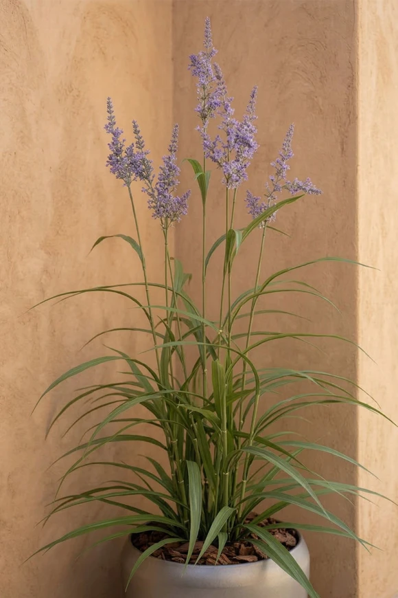 Outdoor Artificial Lavender Grass in Slate Earle Dumpy Pot - 170cm