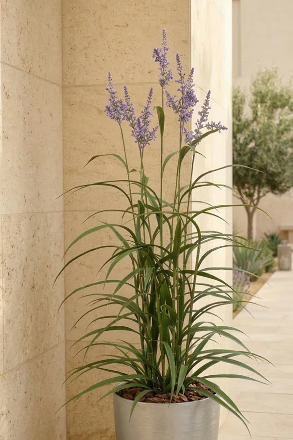 Outdoor Artificial Lavender Grass in Silver Buxley Pot - 170cm