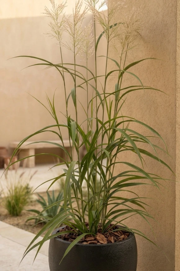 Outdoor Artificial Lavender Grass in Black Easington Pot - 170cm