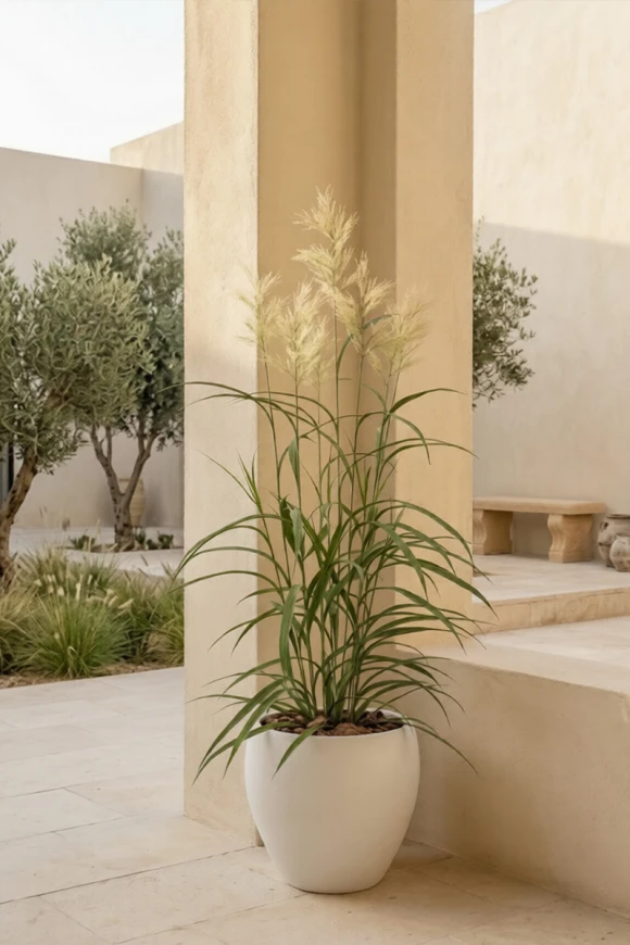 Outdoor Artificial Switchgrass in White Easington Pot - 170cm