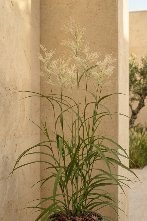 Outdoor Artificial Switchgrass in Mocha Earle Dumpy Pot - 170cm