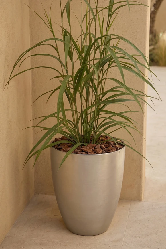 Outdoor Artificial Switchgrass in Silver Buxley Pot - 170cm