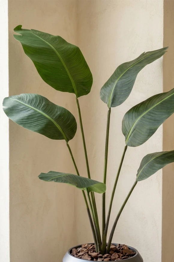 Artificial Traveller Palm in Slate Earle Dumpy Pot - 170cm