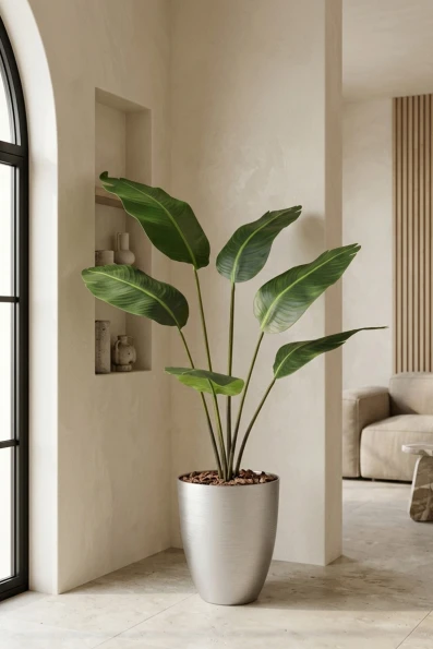 Artificial Traveller Palm in Silver Buxley Pot - 170cm