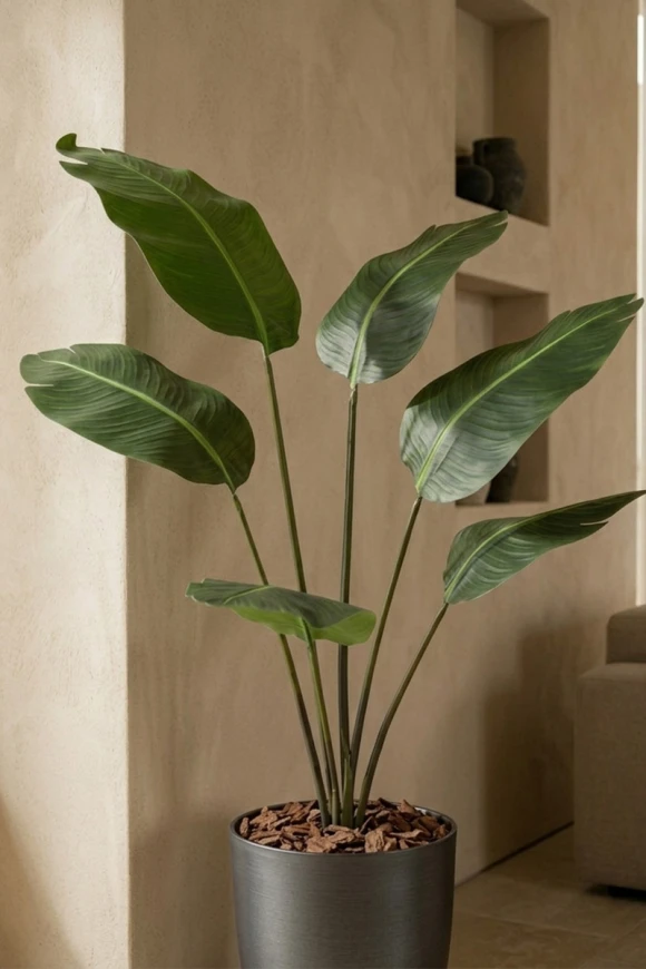 Artificial Traveller Palm in Charcoal Buxley Pot - 170cm
