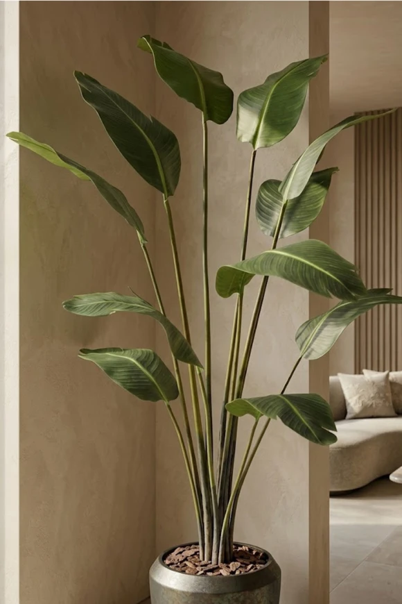 Artificial Traveller Palm in Mocha Earle Dumpy Pot - 230cm