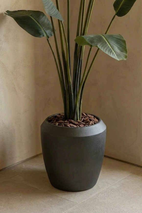 Artificial Traveller Palm in Mocha Earle Dumpy Pot - 230cm