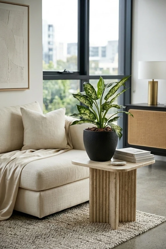 Artificial Dieffenbachia in Black Easington Pot - 80cm