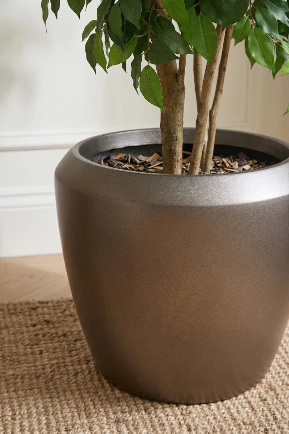 Artificial Ficus Double Ball in Slate Earle Dumpy - 185cm