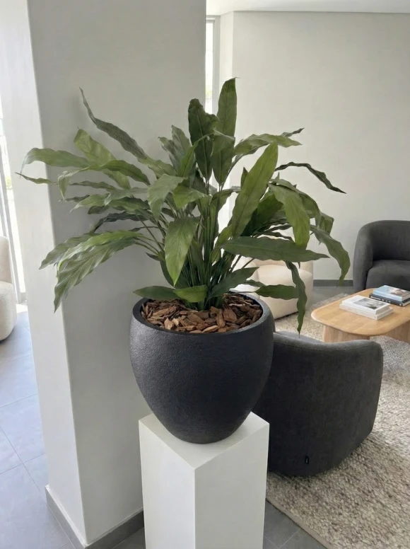 Artificial Calathea in Black Easington Pot - 85cm