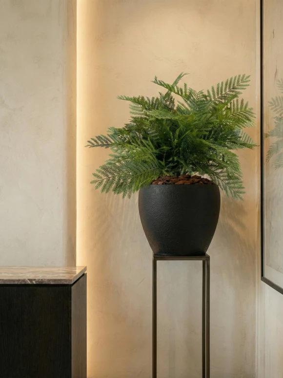 Artificial Leatherleaf Fern in Black Easington Pot - 50cm