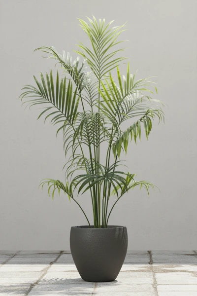 Outdoor Artificial Kentia Palm in Easington Pot - 230cm