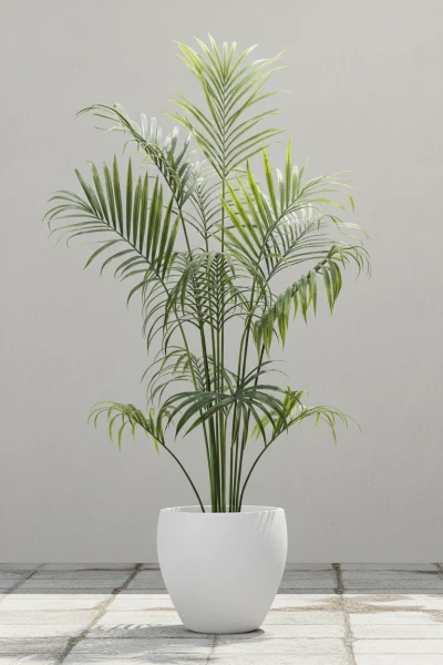 Outdoor Artificial Kentia Palm in Easington Pot - 230cm
