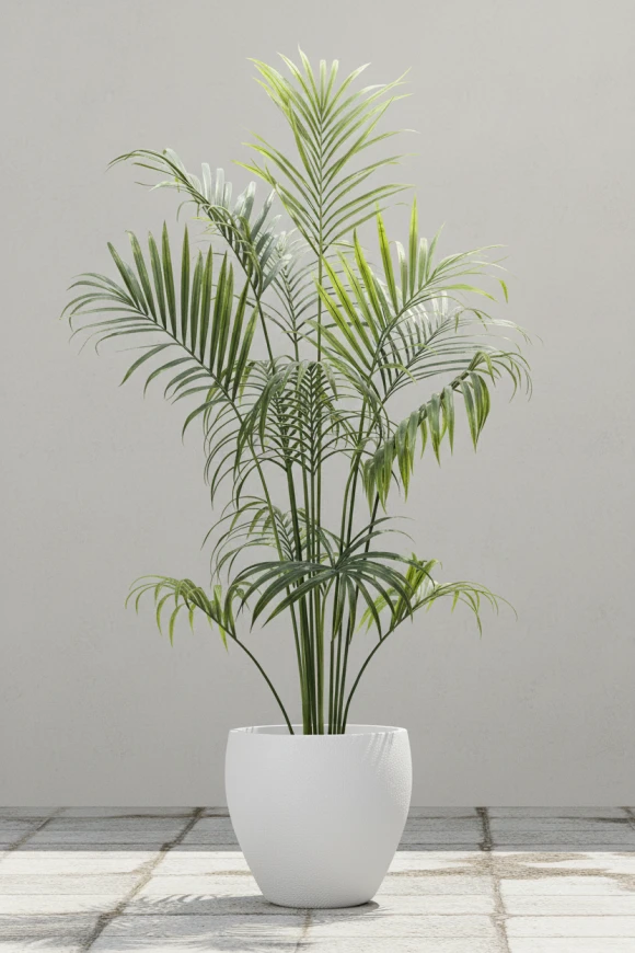 Outdoor Artificial Kentia Palm in Easington Pot - 230cm