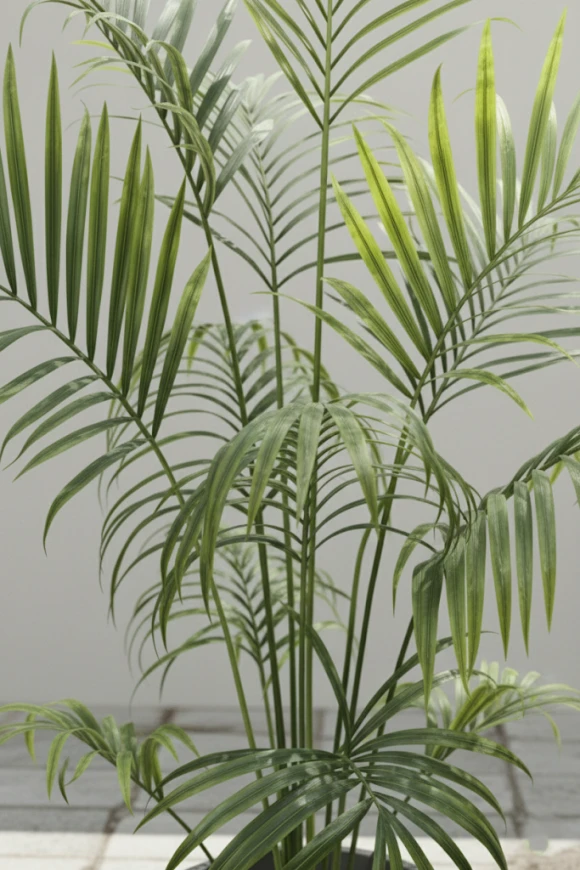 Outdoor Artificial Kentia Palm in Easington Pot - 230cm