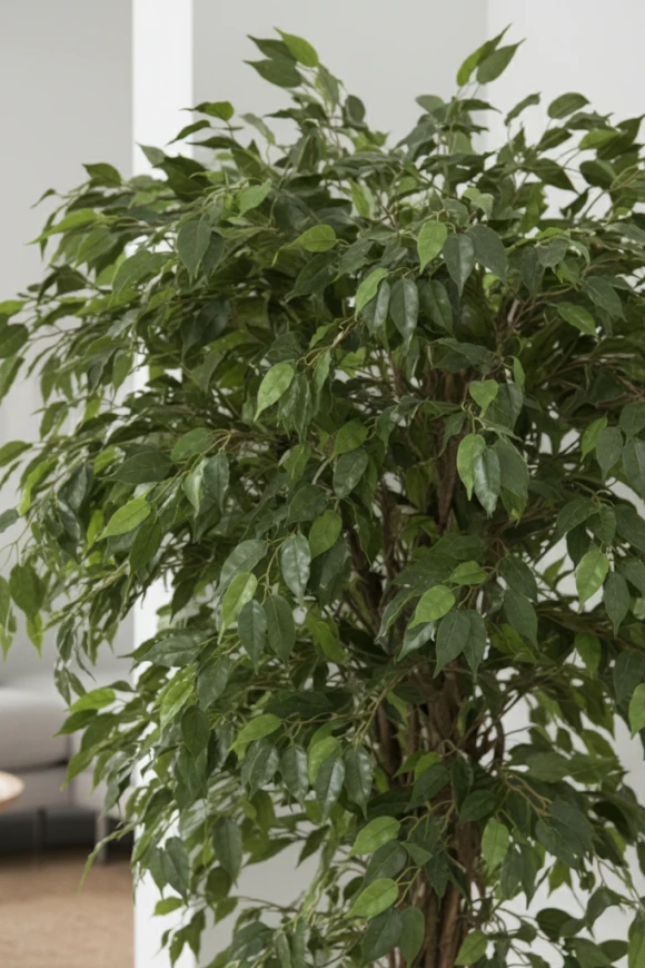 Artificial Ficus Liana in Pot - 150cm