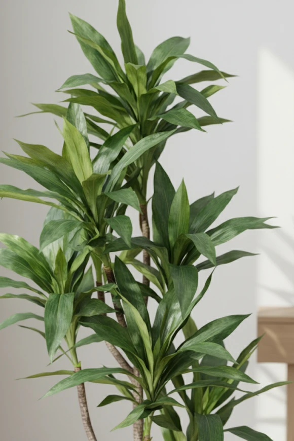 Artificial Cordyline in Pot - 150cm