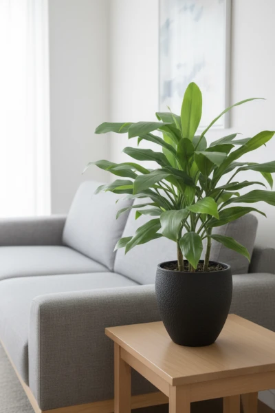 Artificial Cordyline in Pot - 75cm