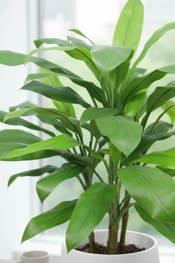 Artificial Cordyline in Pot - 75cm