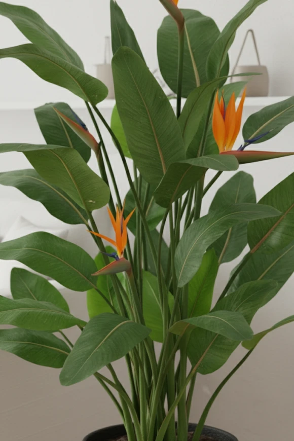 Artificial Flowering Bird of Paradise in Pot - 120cm