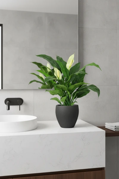 Artificial Peace Lily in Pot - 70cm