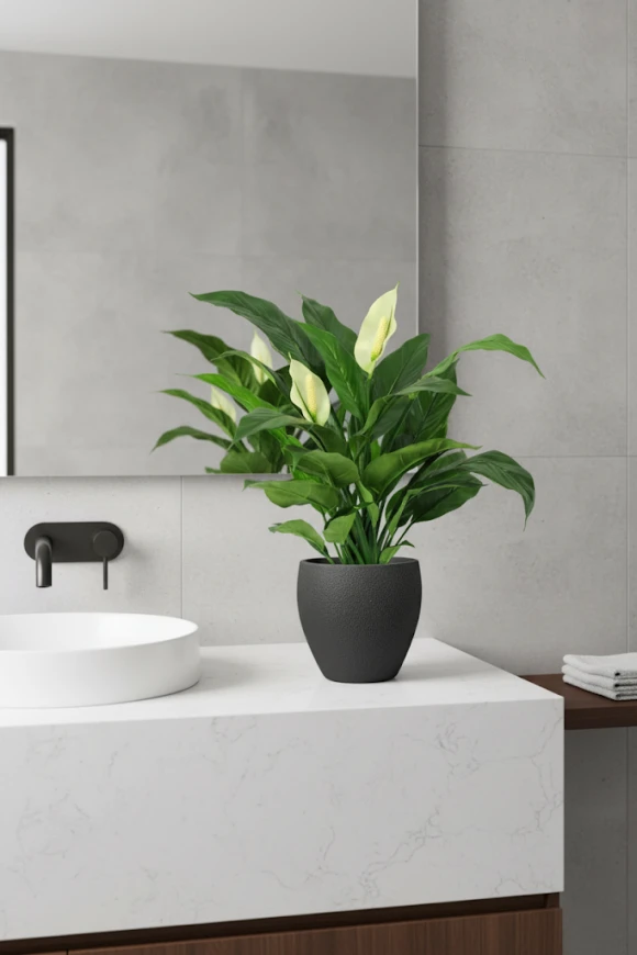 Image of Artificial Peace Lily in Pot - 70cm