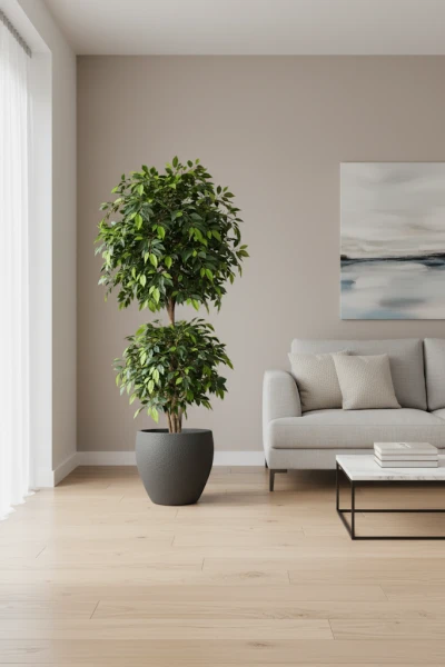 Artificial Ficus Liana in Pot - 185cm