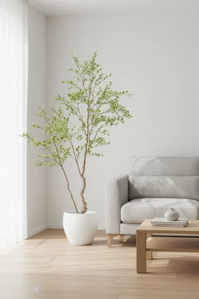 Artificial Bucida Tree in Easington Pot - 210cm