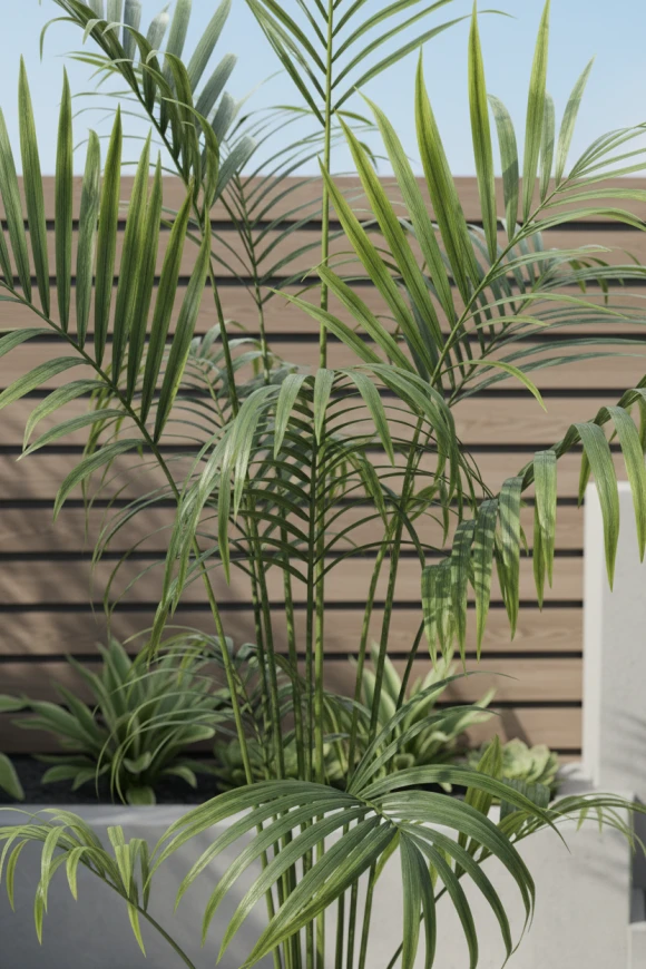 Outdoor Artificial Kentia Palm in Earle Dumpy Pot - 230cm
