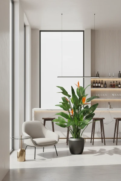 Artificial Flowering Bird of Paradise in Earle Dumpy Pot - 120cm