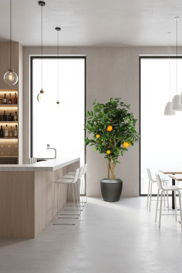 Artificial Orange Tree in Earle Dumpy Pot - 150cm