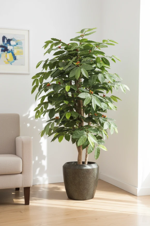 Artificial Coffee Tree in Earle Dumpy Pot - 150cm