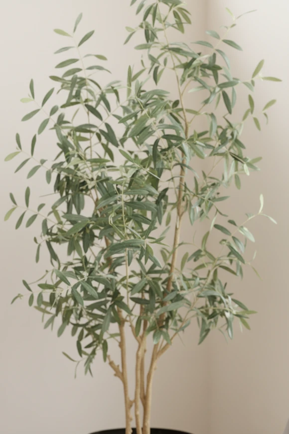 Artificial Olive Tree in Earle Dumpy Pot - 210cm