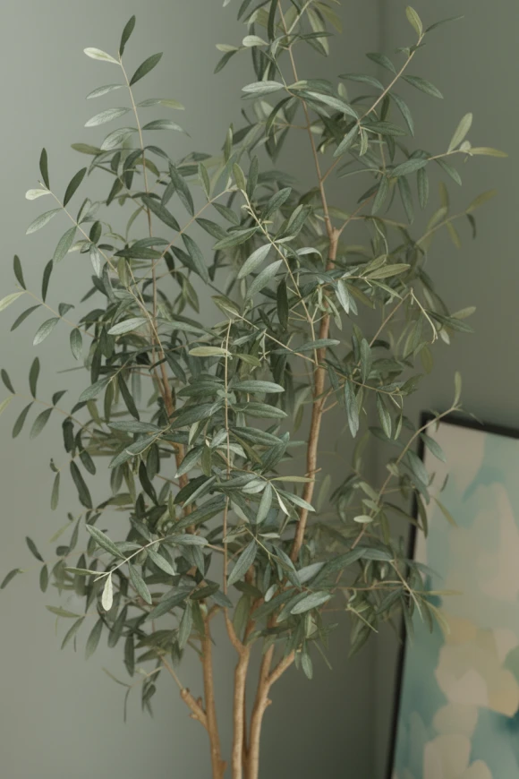 Artificial Olive Tree in Earle Dumpy Pot - 210cm
