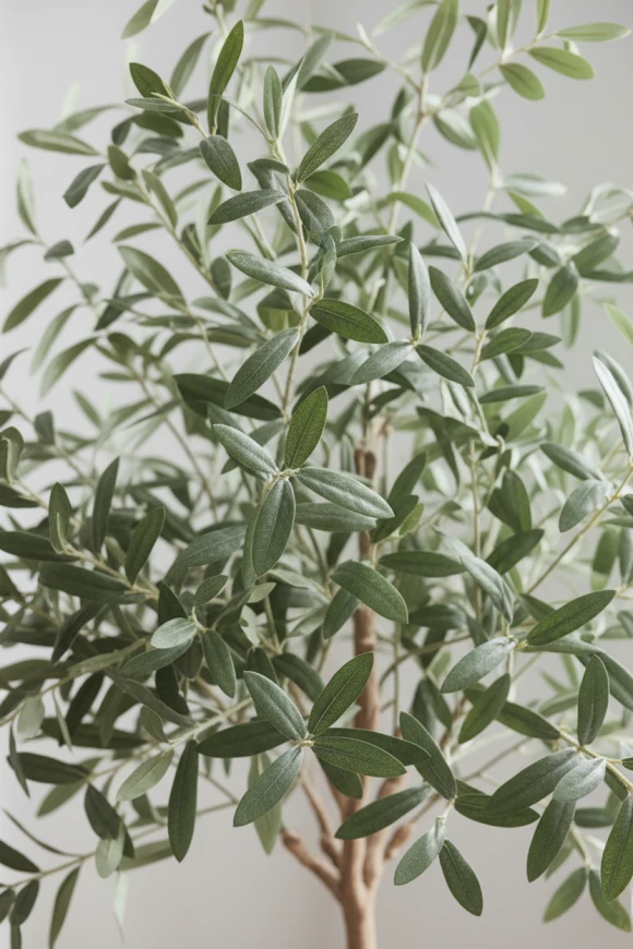 Artificial Olive Tree in Easington Pot - 180cm