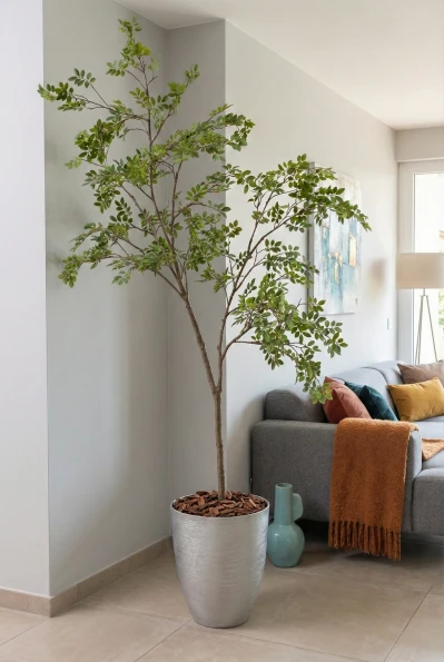 Elm Tree in Silver Buxley Pot - 240cm