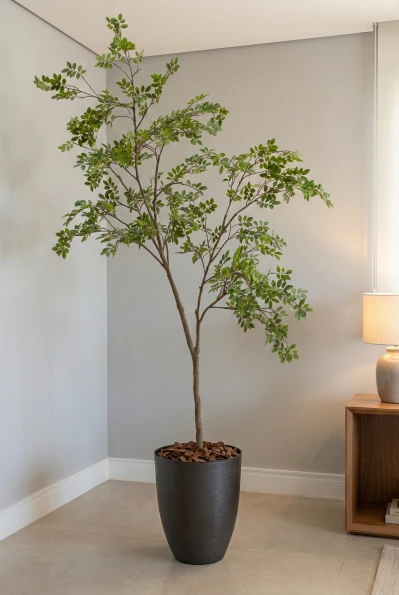 Elm Tree in Charcoal Buxley Pot - 240cm
