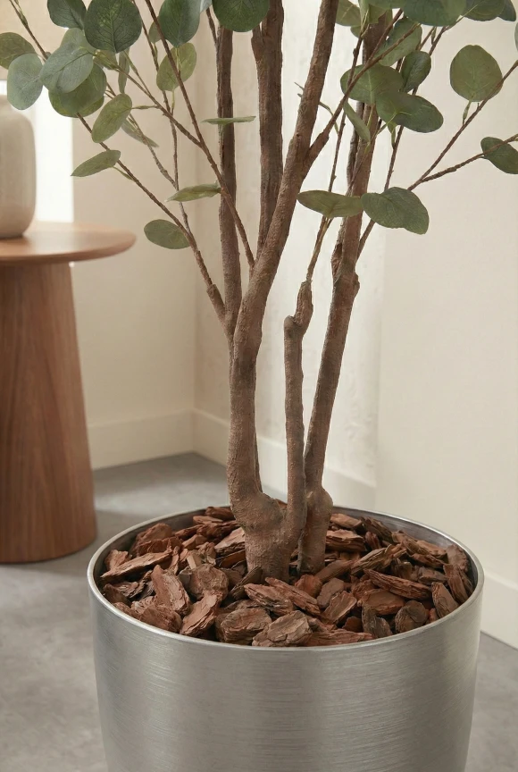 Eucalyptus Tree in Silver Buxley Pot - 240cm