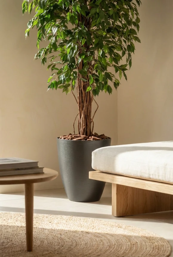 Artificial Ficus Liana in Charcoal Buxley Pot - 180cm