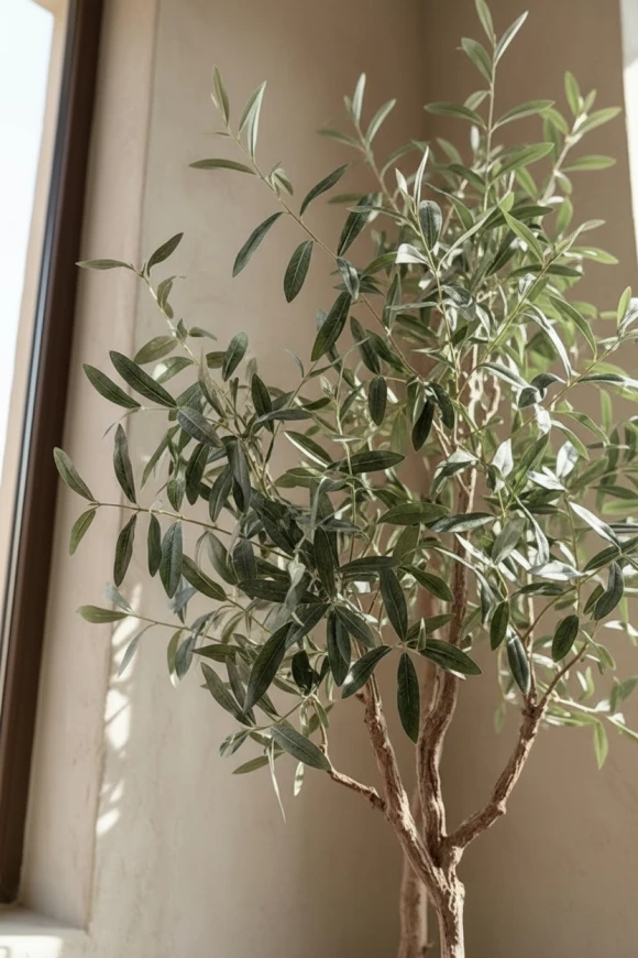 Artificial Olive Tree in Charcoal Buxley Pot - 180cm