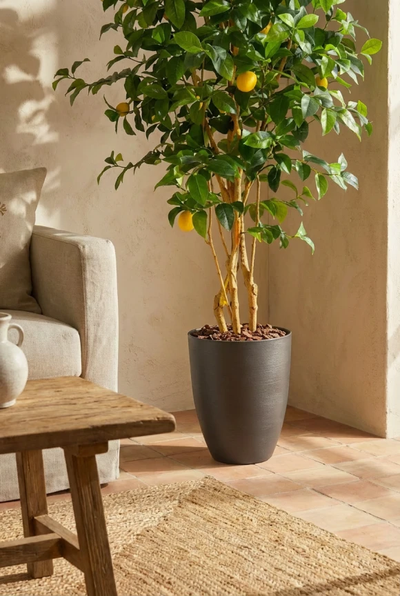 Artificial Lemon Tree in Charcoal Buxley Pot - 150cm