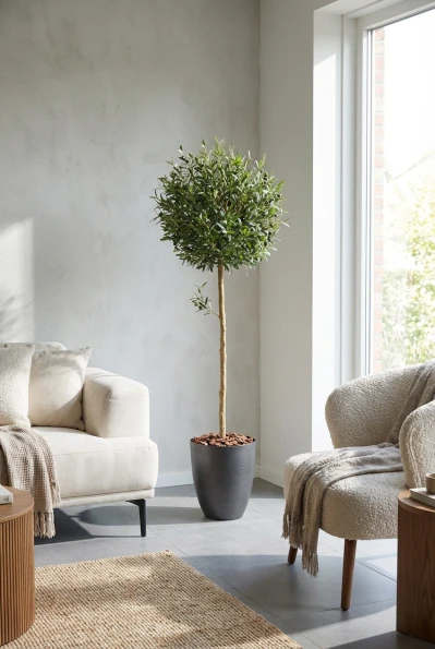 Artificial Olive Ball Tree in Charcoal Buxley Pot - 150cm
